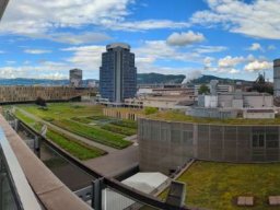 pxl_20240522_144821750.pano-1024